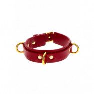 TabooM D-Ring Halsband