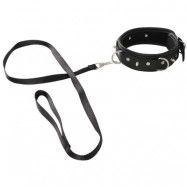 Vegan Collar And Leash