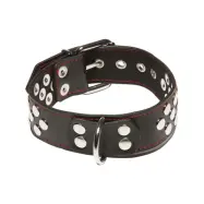 X-Play: Collar with D-Ring