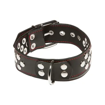 X-Play: Collar with D-Ring