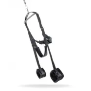 Spinning Fantasy Swing