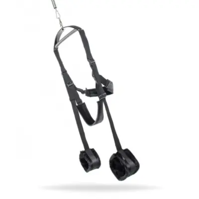 Spinning Fantasy Swing