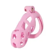 Hidden Desire Penis Prison Cock Cage Long PINK