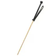 Hidden Desire The Obedience Cane BLACK