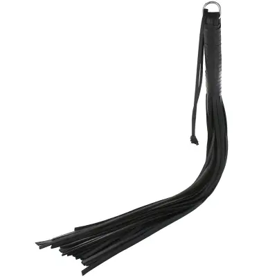 Hidden Desire: Whip Bruno 24, svart