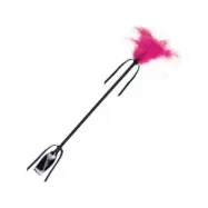 Secretplay Black And Fuchsia Whip & Feather
