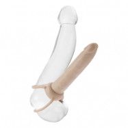 Accommodator Penetrator System Ivory