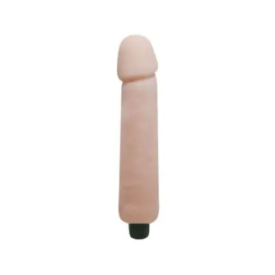 Baile Love Companion Dildo Vibrator 25 Cm