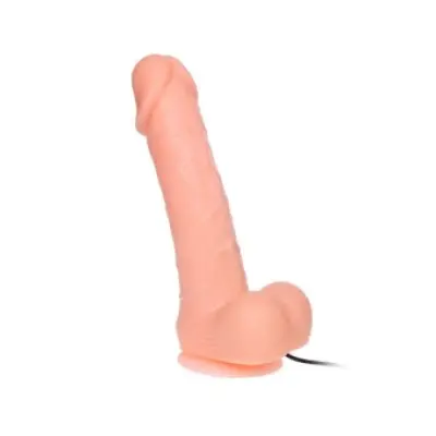 BAILE - REALISTIC DILDO DONG VIBRATION AND ROTATION 20 CM