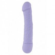 BIO VIBE 10 FUNCTION VIBE 6" PURPLE