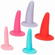 CalExotics She-Ology Vaginal Dilator Set - Mixed colours