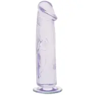 Jelly Joy Perfect Dildo