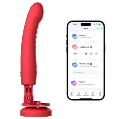 Lovense Mission 2