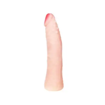 BAILE - REALISTIC SKIN TOUCH SILICONE DILDO 19 CM RANDOM BOX COLOR