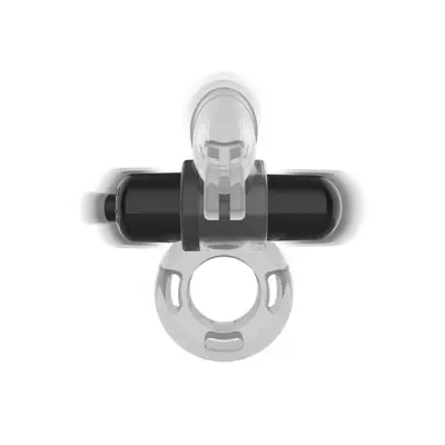 Fry Transparent Vibrating Ring