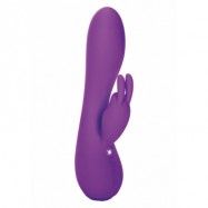 PETITE RABBIT PURPLE