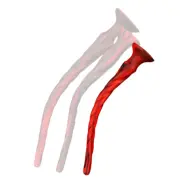 Torthy Dildo Black/Red 40 cm