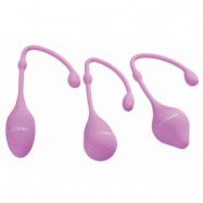 Kegel Ball Set