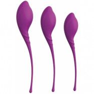 Kegel Exercise Set