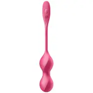 Satisfyer Love Birds 2