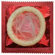 Amor Wild Love (Studded) 1 st