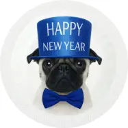 Happy Condoms Happy New Year Fransk Bulldog 1 st