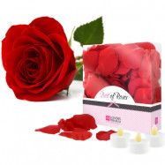 LoversPremium Rose Petals