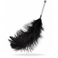 Bad Kitty Feather Wand