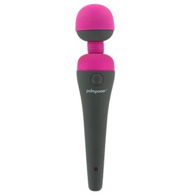 PalmPower