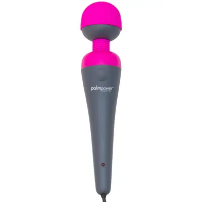 Palm Power Plug&Play