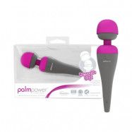 PalmPower Massager