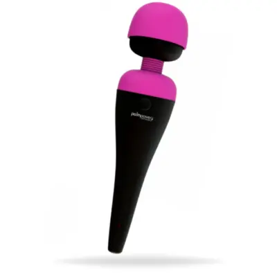 Palmpower Personal Massager