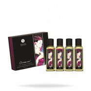 Shunga Massage Oil Collection