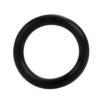 California Exotic: Black Rubber Ring, small