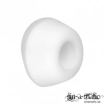 Satisfyer Pro 2 munstycken - 5-pack