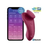 Satisfyer Sexy Secret Panty