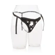 HER ROYAL HARNESS THE PRINCESS