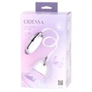 Odessa Pump