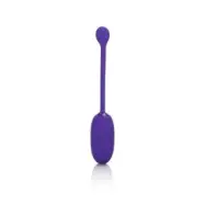 CalExotics Rechargable Kegel Ball Starter PURPLE