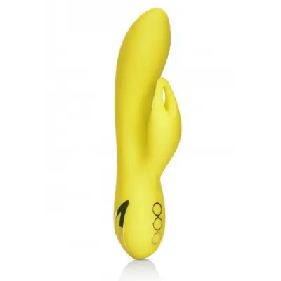 California Dreaming Venice Vixen