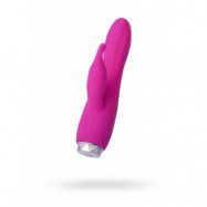 Erotist Fay Vibrator