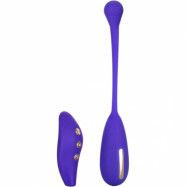 Estim Remote Kegel Exerciser