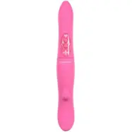 Evolved Companion Pink