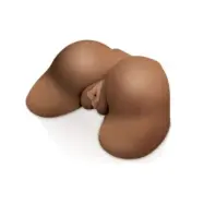 Extreme Toyz Vagina And Anus Doggy Style