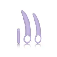 CalExotics Isabelle Set of 2 Dilators PURPLE