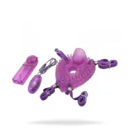 Timeless Pleasure Turtle
