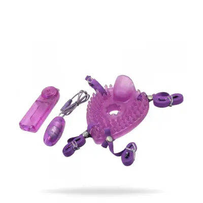 Timeless Pleasure Turtle