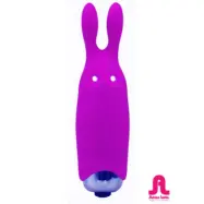 Lastic Pocket Vibe Purple