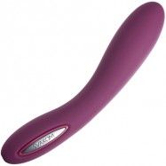 Leo Long Lasting Vibrator Violet