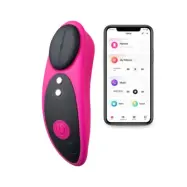 Lovense Ferri Bluetooth Panty Vibrator